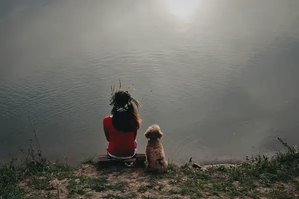 Featured image for Emotional Connection & Storytelling Psychology in Branding