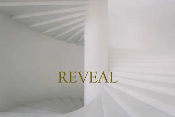 Featured image for REVEAL